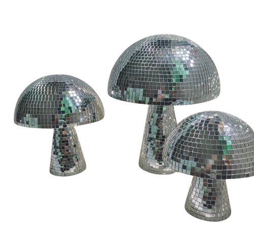 Champignons Miroir Disco