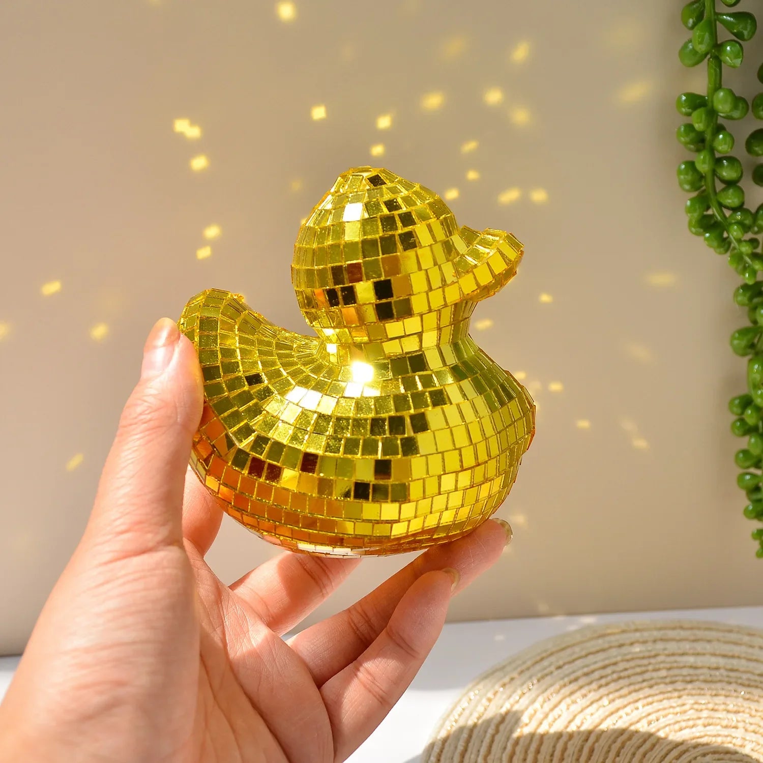 Canard Disco – Miroir